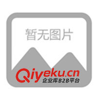 租賃廣州市柴油發(fā)電機，租賃廣州市柴油發(fā)電機組(圖)